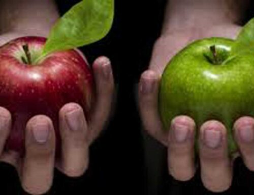 How does your consulting business stack up? Take our 16th Annual WIC Best Practices Survey (open March 14-April 7) and find out.